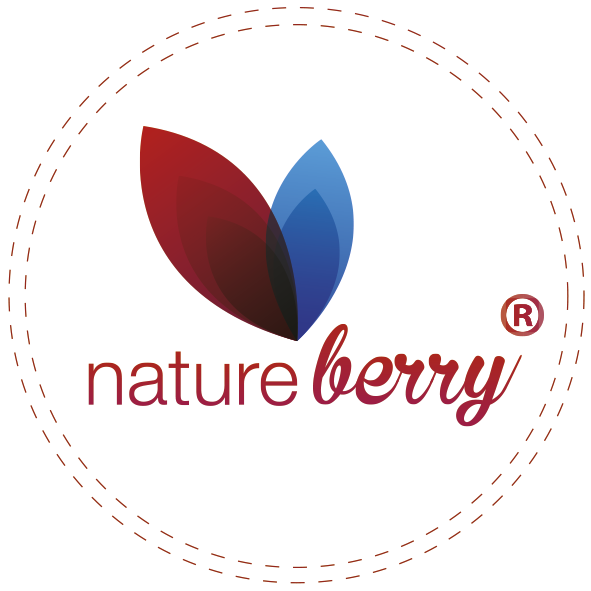 Nature Berry logo